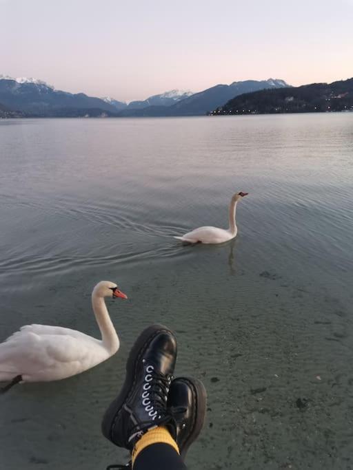 알비-쉐랑 Cocon A La Campagne,Proche Annecy 아파트 외부 사진