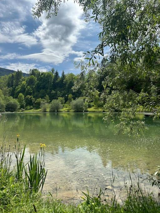알비-쉐랑 Cocon A La Campagne,Proche Annecy 아파트 외부 사진