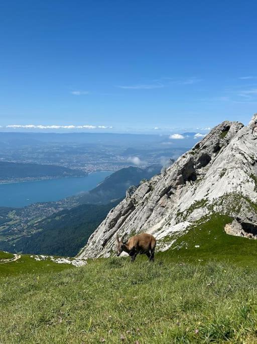 알비-쉐랑 Cocon A La Campagne,Proche Annecy 아파트 외부 사진